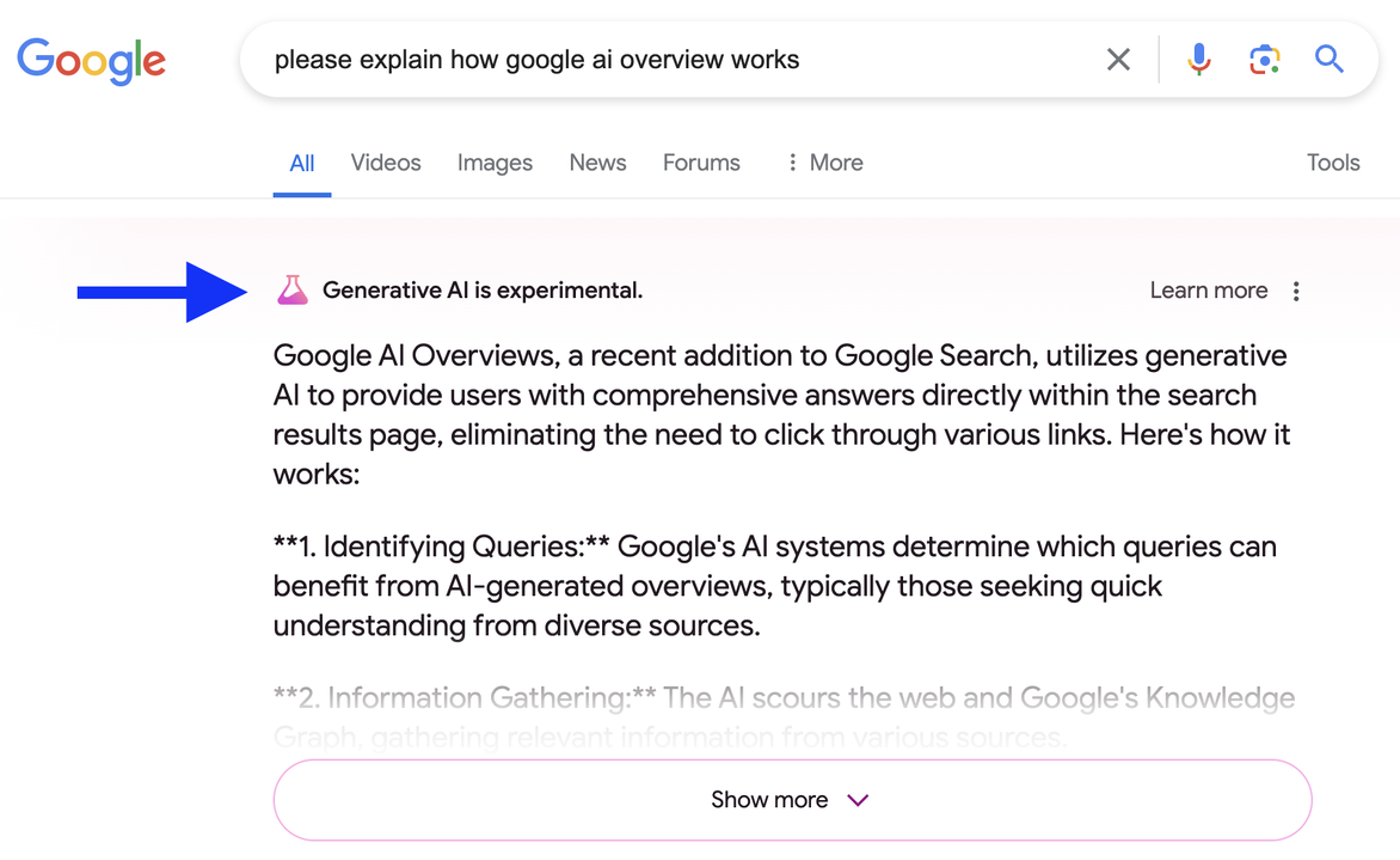 Google Ai Overview